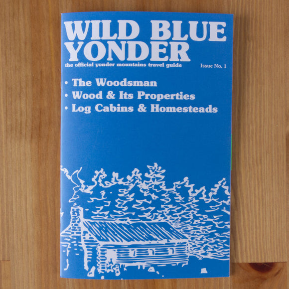 Wild Blue Yonder Issue #1 + PDF