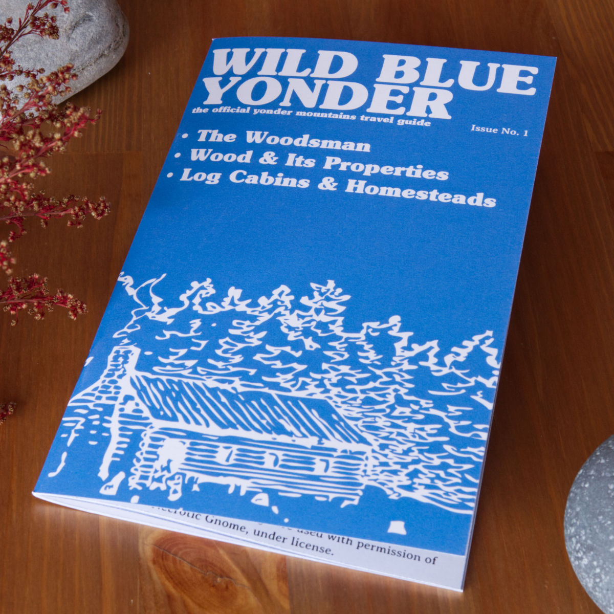 Into the Wild Blue Yonder: A Travel Accessories Guide