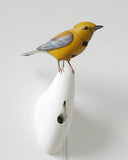 The Singing Bird on Wall