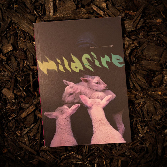 WILDFIRE - Issue 4